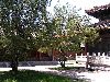 Cliquez ici pour voir l'image (pict1487.jpg)