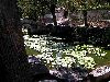 Cliquez ici pour voir l'image (pict1519.jpg)