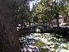 Cliquez ici pour voir l'image (pict1520.jpg)