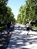 Cliquez ici pour voir l'image (pict1855.jpg)