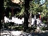 Cliquez ici pour voir l'image (pict1885.jpg)