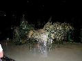 Cliquez ici pour voir l'image (pict2040.jpg)
