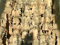 Cliquez ici pour voir l'image (pict2053.jpg)