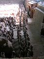 Cliquez ici pour voir l'image (pict2056.jpg)