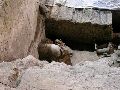 Cliquez ici pour voir l'image (pict2079.jpg)
