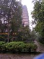 Cliquez ici pour voir l'image (pict2277.jpg)