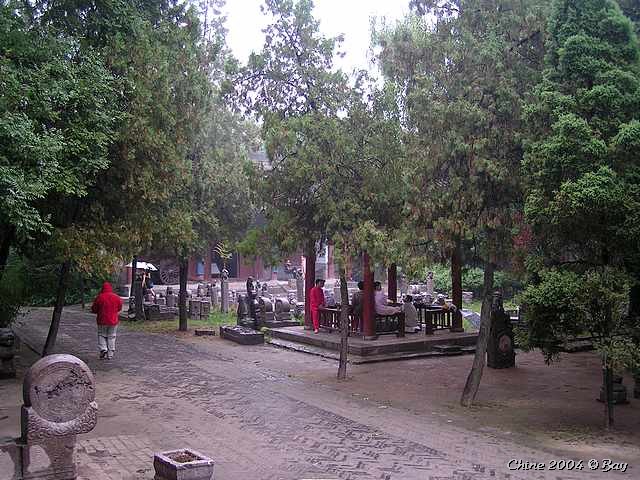 pict2288