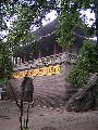 Cliquez ici pour voir l'image (pict2292.jpg)
