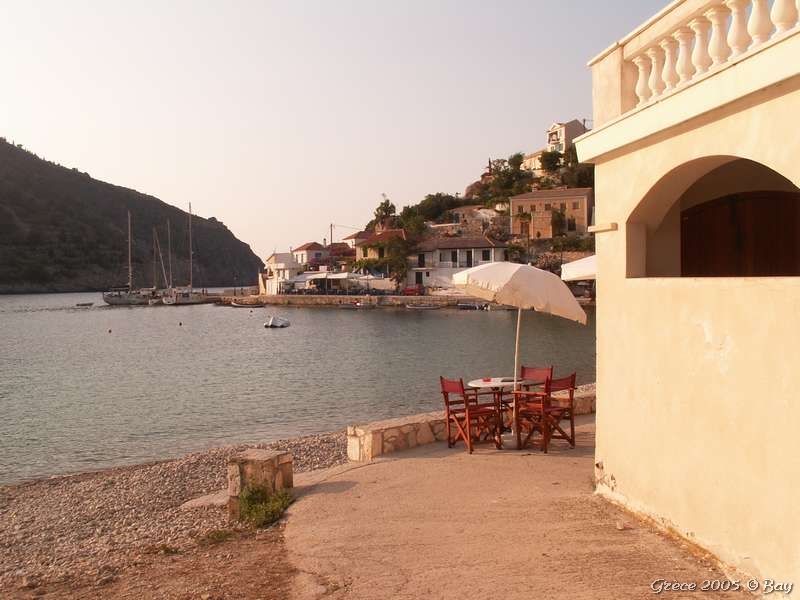 16_assos