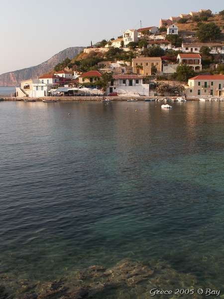 19_assos