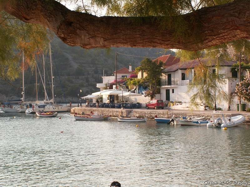 22_assos