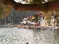 Cliquez ici pour voir l'image (22_assos.jpg)