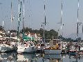 Cliquez ici pour voir l'image (29_lixouri.jpg)