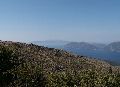 Cliquez ici pour voir l'image (37_pict0570.jpg)