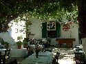 cliquez ici pour voir l'image (11hydra.jpg)