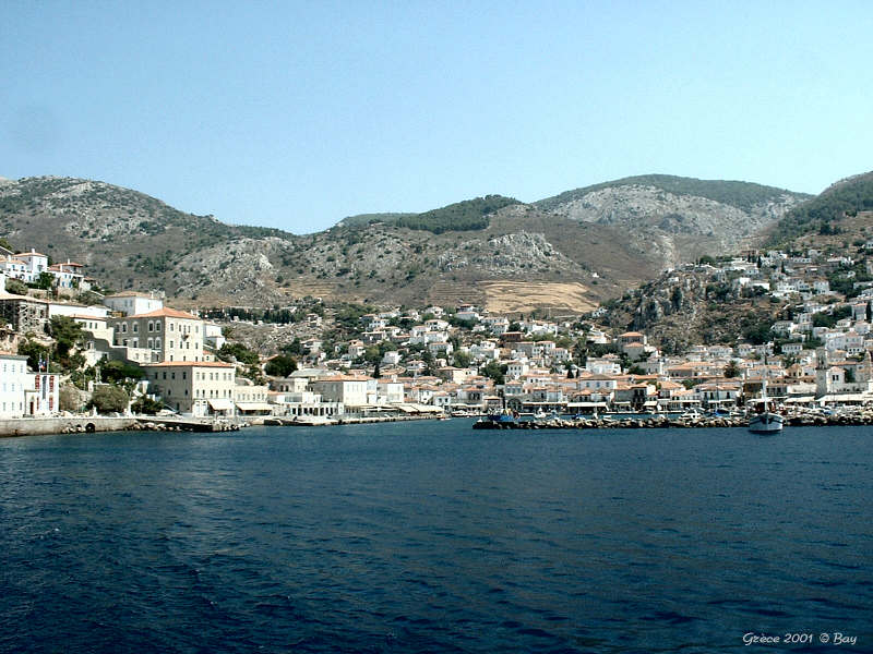 12hydra