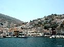 cliquez ici pour voir l'image (14hydra.jpg)