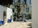 cliquez ici pour voir l'image (18hydra.jpg)