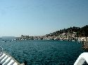 cliquez ici pour voir l'image (19poros.jpg)