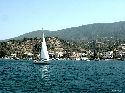 cliquez ici pour voir l'image (22poros.jpg)