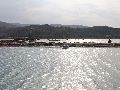 Cliquez ici pour voir l'image (12_pict0317.jpg)