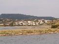 Cliquez ici pour voir l'image (13_pict0319.jpg)