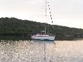 Cliquez ici pour voir l'image (37_poros.jpg)