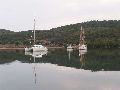 Cliquez ici pour voir l'image (40_poros.jpg)