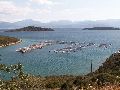 Cliquez ici pour voir l'image (04_pict0198.jpg)
