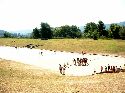 cliquez ici pour voir l'image (02stade.jpg)