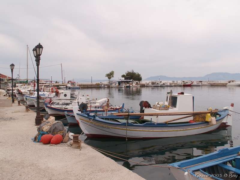 02_paleros