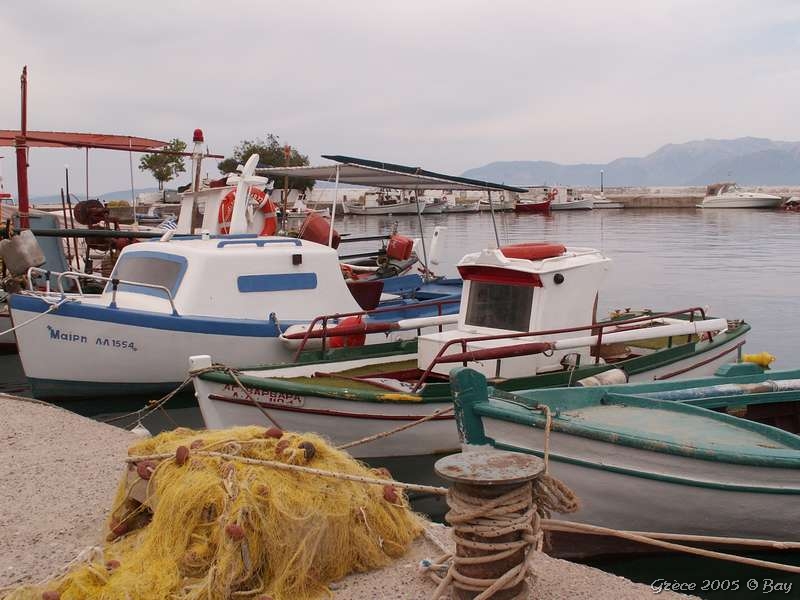 03_paleros