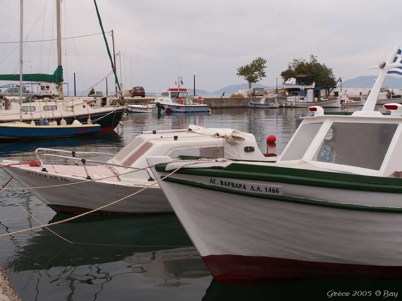 04_paleros