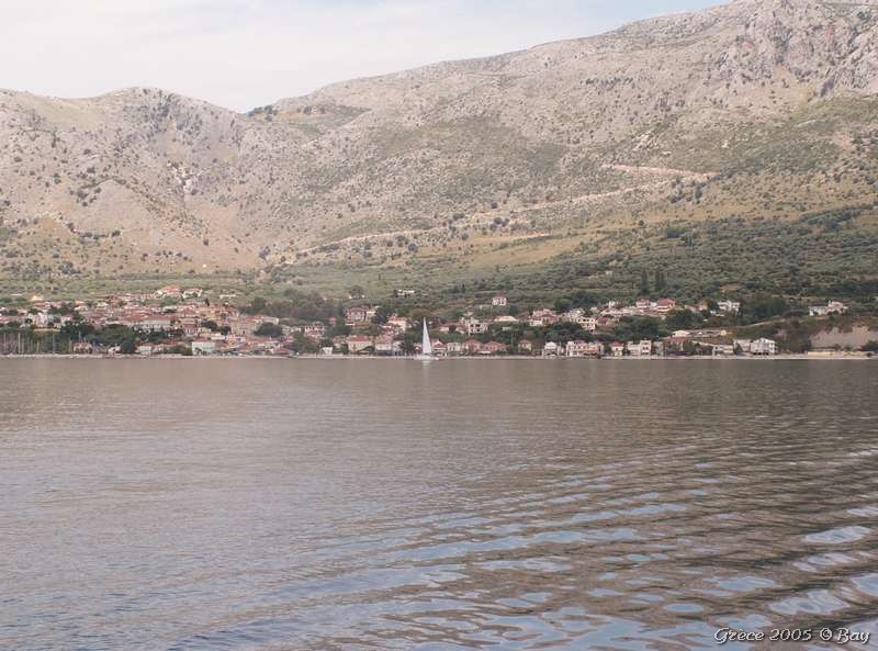 13_paleros