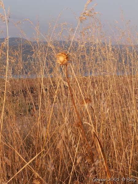 10_preveza
