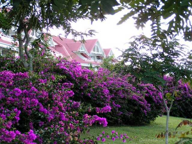 pict0012