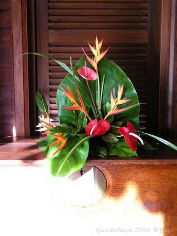 pict0017