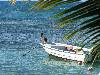 cliquez ici pour voir l'image (pict0018.JPG)