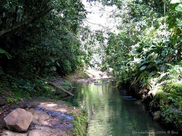 pict0035