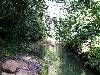 cliquez ici pour voir l'image (pict0035.JPG)