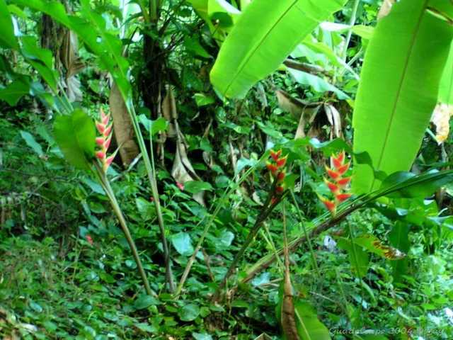 pict0037