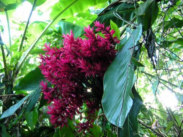 pict0040