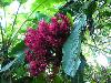 cliquez ici pour voir l'image (pict0040.JPG)