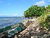 cliquez ici pour voir l'image (pict0255.jpg)