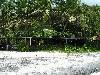 cliquez ici pour voir l'image (pict0047.jpg)