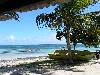 cliquez ici pour voir l'image (pict0048.jpg)