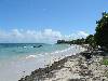 cliquez ici pour voir l'image (pict0049.jpg)