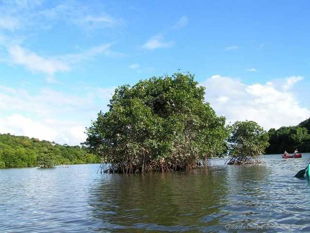 pict0071