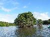 cliquez ici pour voir l'image (pict0071.jpg)