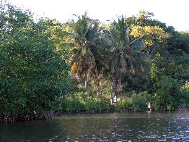 pict0074